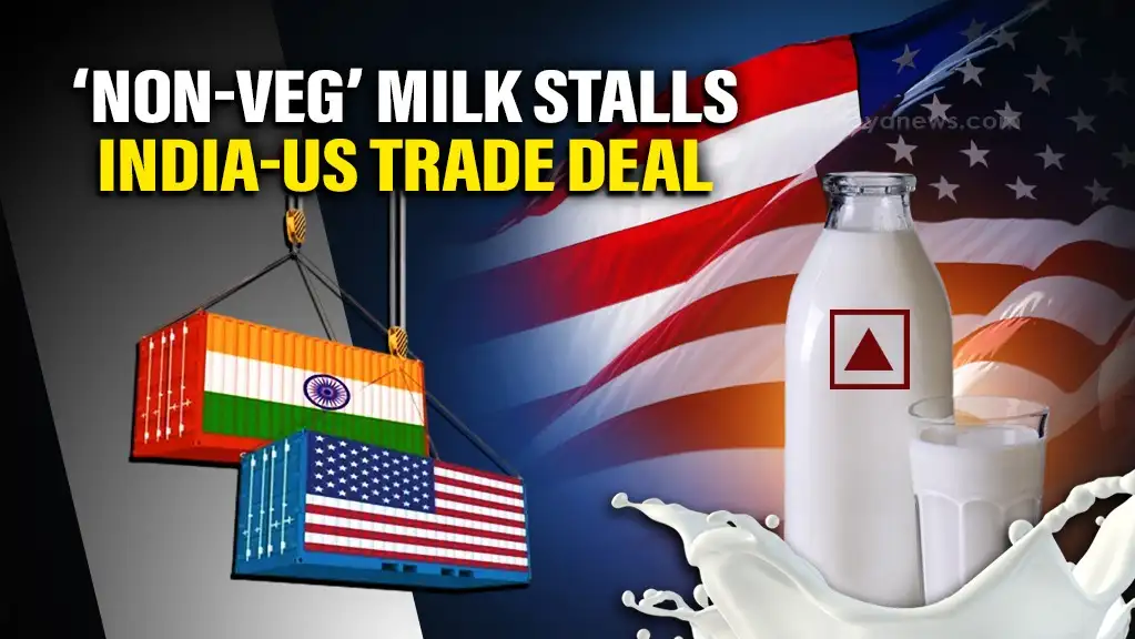 NON VEG Milk