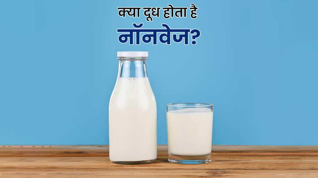 NON VEG Milk