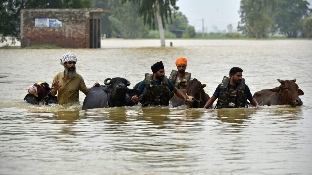 Punjab